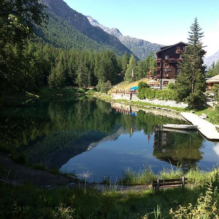 Pension Aaron Am See Grächen Dış mekan fotoğraf